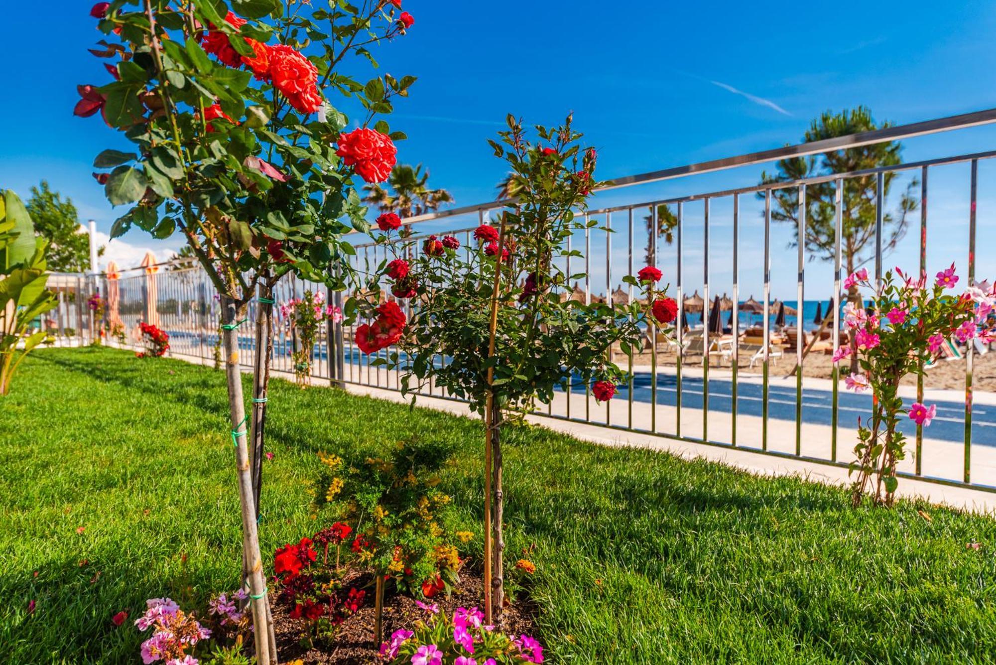 Sea View Apartments Eldo Durres Ngoại thất bức ảnh
